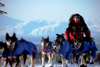 Iditarod 2008